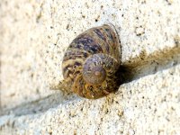 1st June 2015 018.JPG