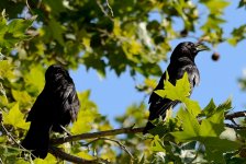 2nd June 2015 002.JPG