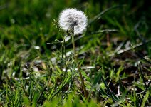 2nd June 2015 004.JPG