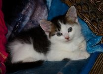 2nd June 2015 007.JPG