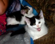 2nd June 2015 010.JPG