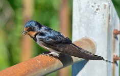 DSC_2502.jpg