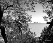 6-3-15 Lakewood   42BW.jpg