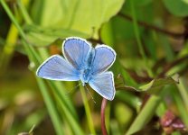DSC_2431.jpg