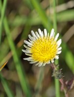 DSC_2360.jpg