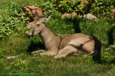 20150603-DSC_7844.jpg