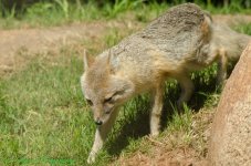 20150603-DSC_7776.jpg
