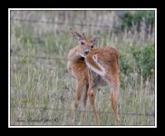 DSC_9599.jpg