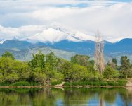 Landscapes-20.jpg
