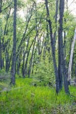 Landscapes-21.jpg