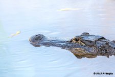 D71_4633-Edit.jpg