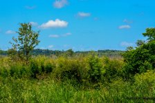 D71_4643_4_5_6_7_tonemapped.jpg