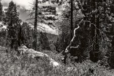 05 June 2015 - Darkscape #1.jpg