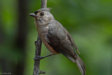 DSC_1839.jpg