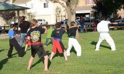 4th June 2015 052.JPG