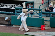 5th June 2015 017.JPG