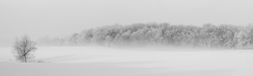 DSC_0067.jpg