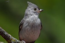 DSC_1875.jpg