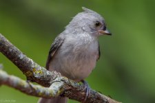 DSC_1871.jpg