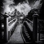 bridge-1.jpg