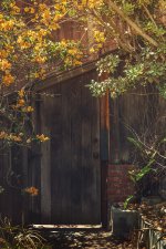 June 6 2015- Hidden Doorway #4.jpg