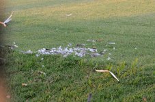 6th June 2015 035.JPG