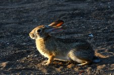 7th June 2015 016.JPG