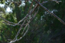 7th June 2015 081.JPG