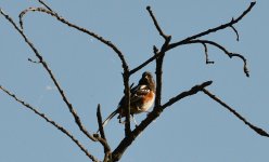 7th June 2015 097.JPG