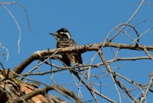 7th June 2015 111.JPG