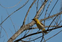 7th June 2015 126.JPG