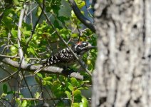 7th June 2015 128.JPG