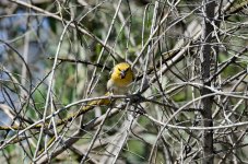 7th June 2015 144.JPG