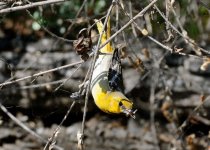 7th June 2015 148.JPG