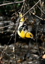 7th June 2015 153.JPG