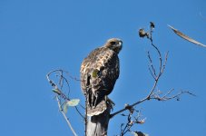 7th June 2015 188.JPG