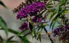 7th June 2015 158.JPG