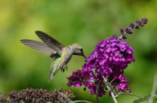 7th June 2015 171.JPG