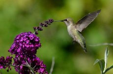 7th June 2015 182.JPG