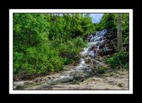 DSC_8377.jpg
