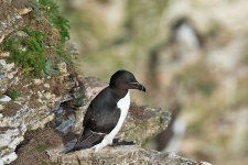 DSC_2604.jpg