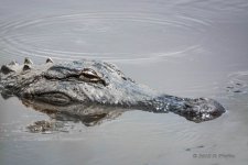 D71_4702-Edit.jpg