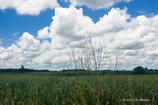 D71_4706.jpg