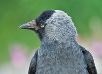 DSC_2744.jpg