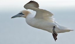 DSC_2648.jpg