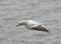 DSC_2679.jpg