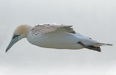DSC_2639.jpg