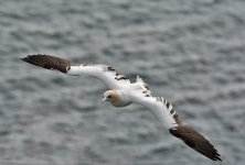 DSC_2690.jpg