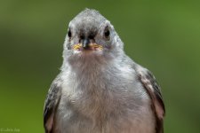 DSC_1870.jpg