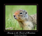 DSC_0552.jpg